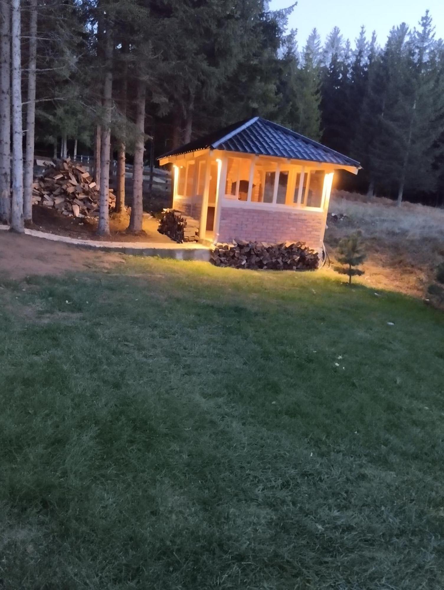 Mila House Tara Βίλα Bajina Basta Εξωτερικό φωτογραφία